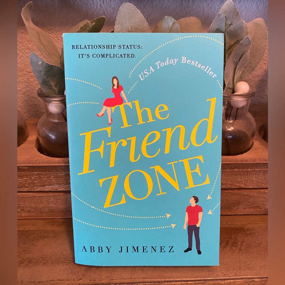 The Friend Zone Paperback book